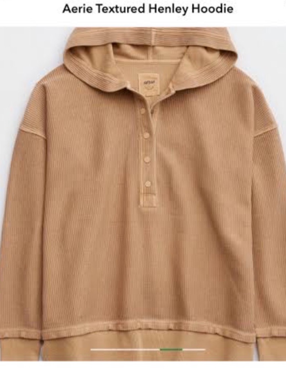 aerie Men's Textured Henley Hoodie in Tan